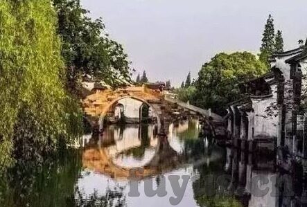 麻豆和天美传媒-麻豆的虚拟王国，数字时代的艺术与色彩盛宴
