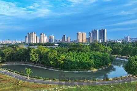 亚洲麻豆视频免费观看-流连于多元文化交汇的视觉盛宴——亚洲麻豆视频探索之旅